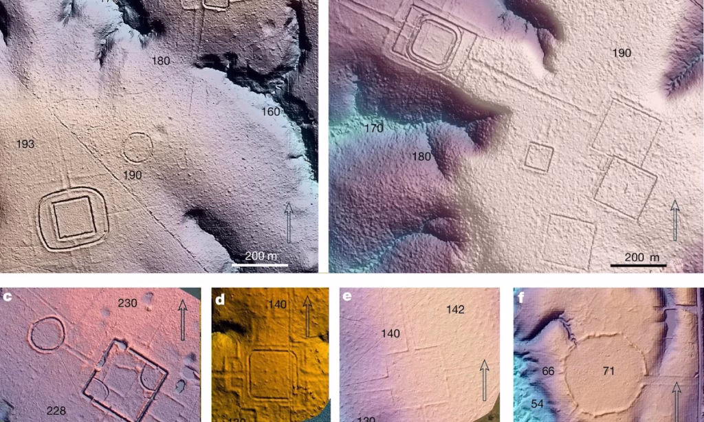Lidar analysis reveals more than 20,000 pre-colonial earthworks under Amazonian rainforest – The Art Newspaper