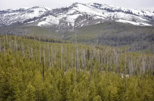 Wyoming Association of Archaeologists Sues Federal Government Over NAGPRA Regulations