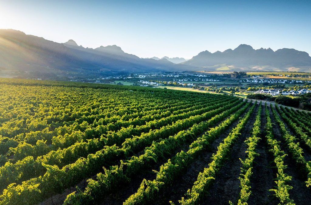 Forget Old vs New World: How the wine map is being redrawn