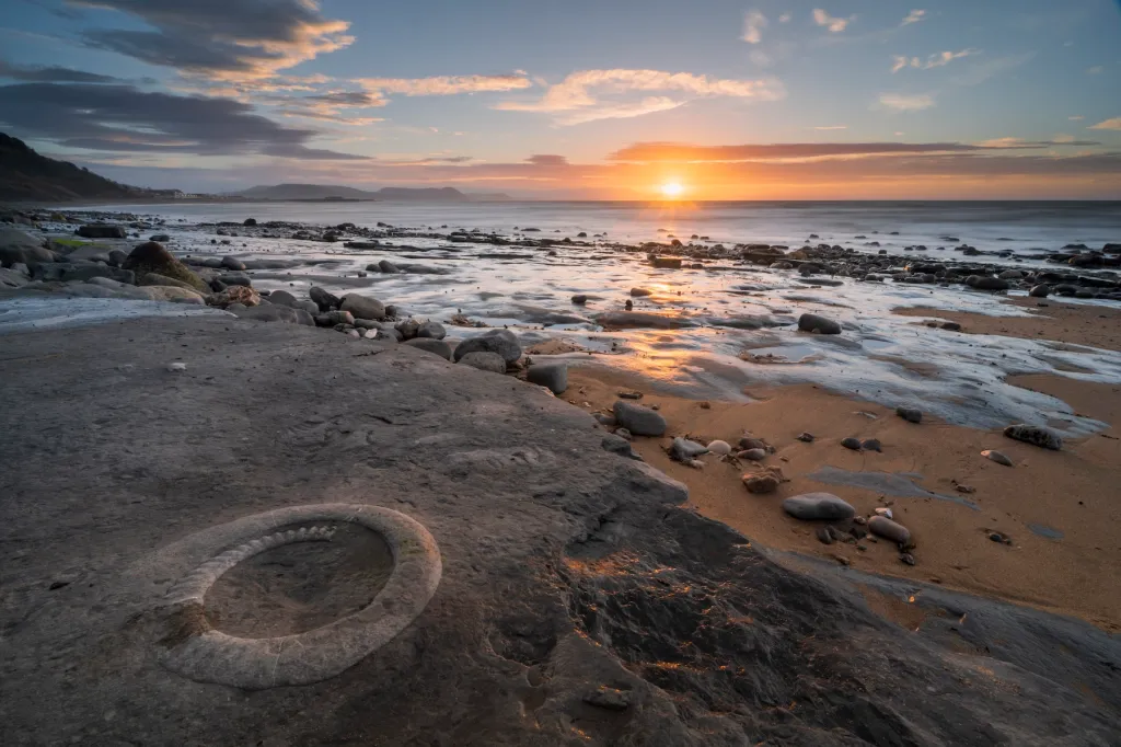 Sale of a “Stunning” UK Fossil Collection to the Natural History Museum Abu Dhabi Sparks Controversy