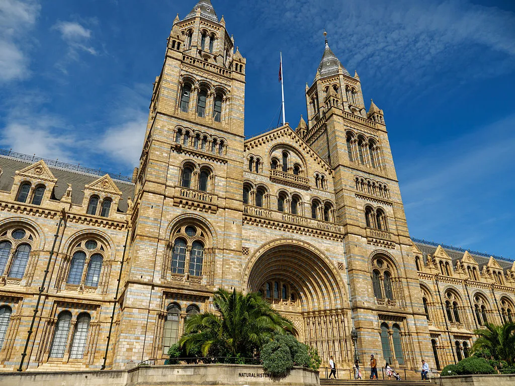 A Hidden Gallery at London’s Natural History Museum Reopens After 80 Years, Rediscovered Bernini Painting On View in Vienna: Morning Links for August 20, 2026