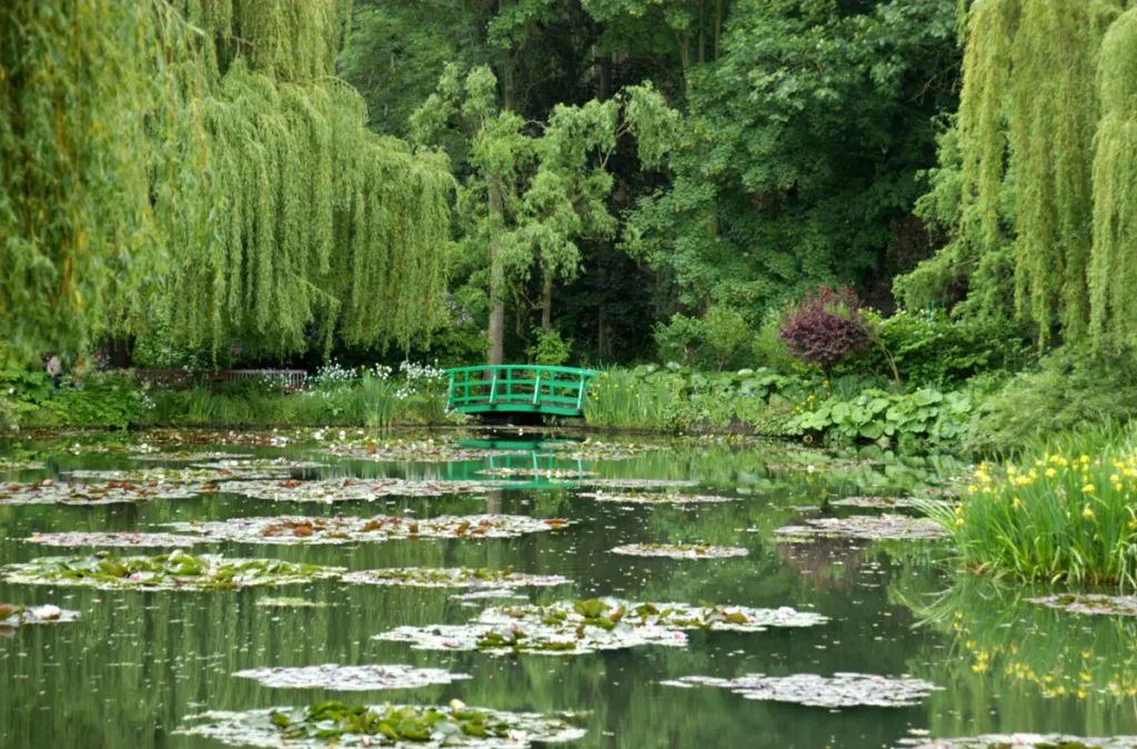 Crushing Heat Waves in France Threaten Monet’s Gardens in Giverny