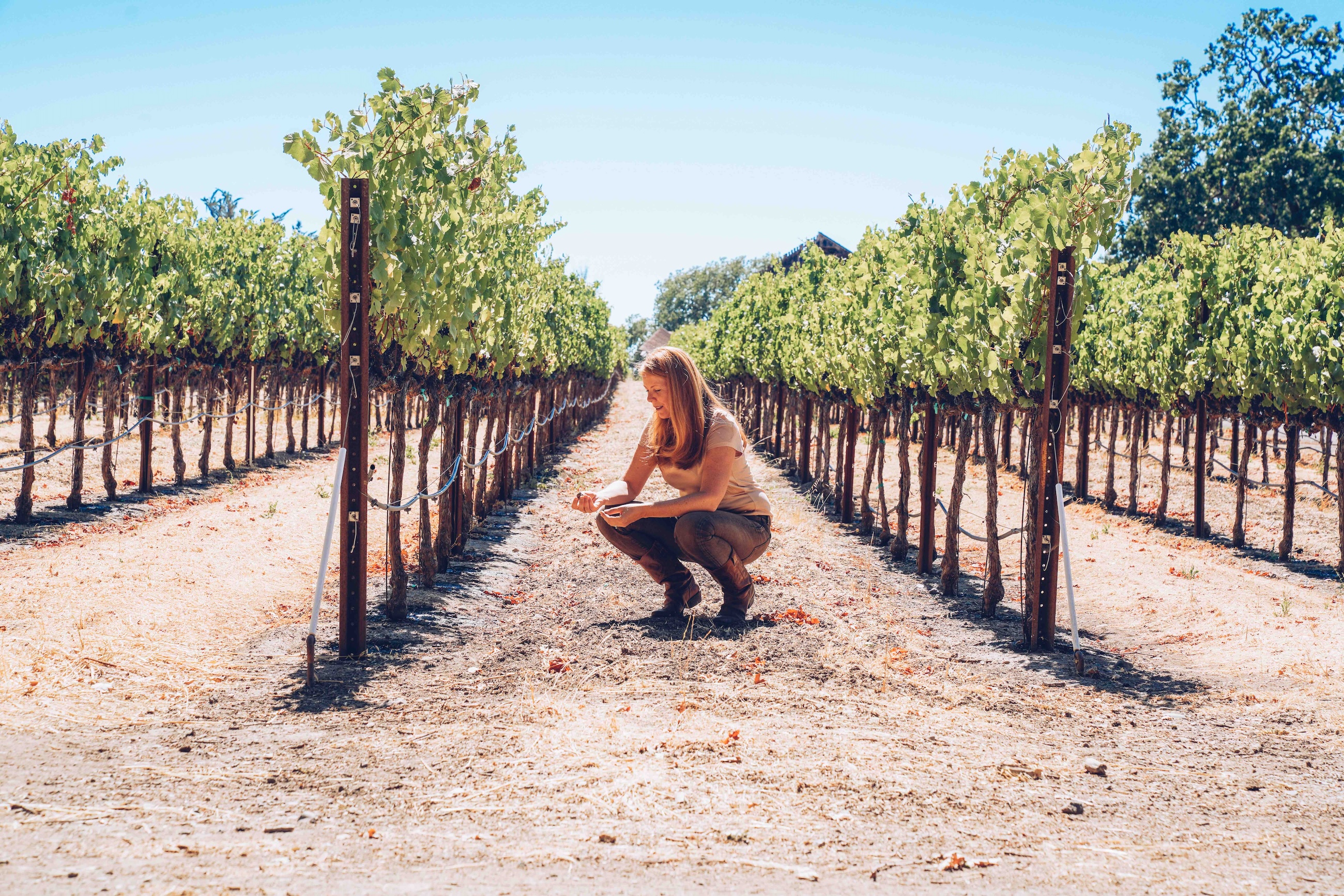 Angels & Cowboys winemaker Ondine Chattan in a vineyard kneeling to check the soil conditions.