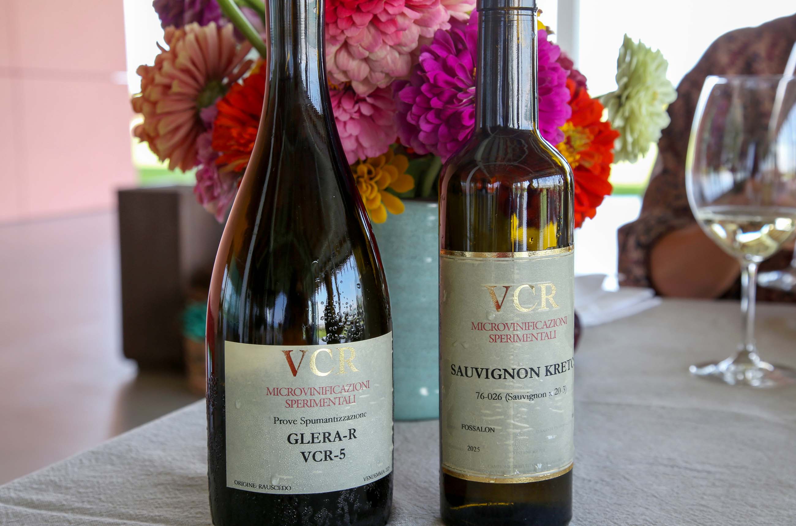 Bottles of PIWI wine from VCR