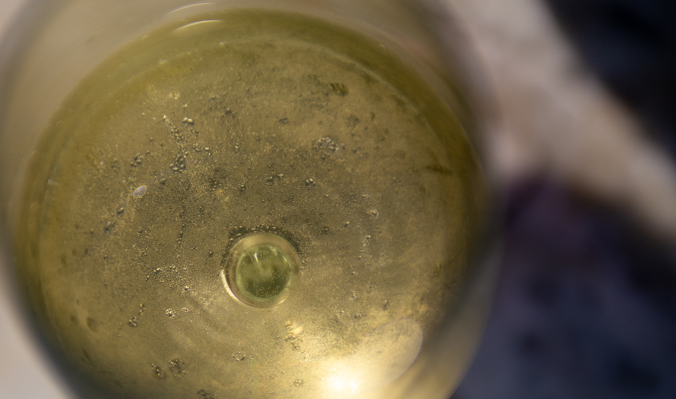 a glass of white wine