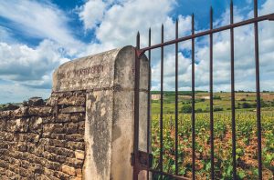 Wine investment: Collectors continue to diversify