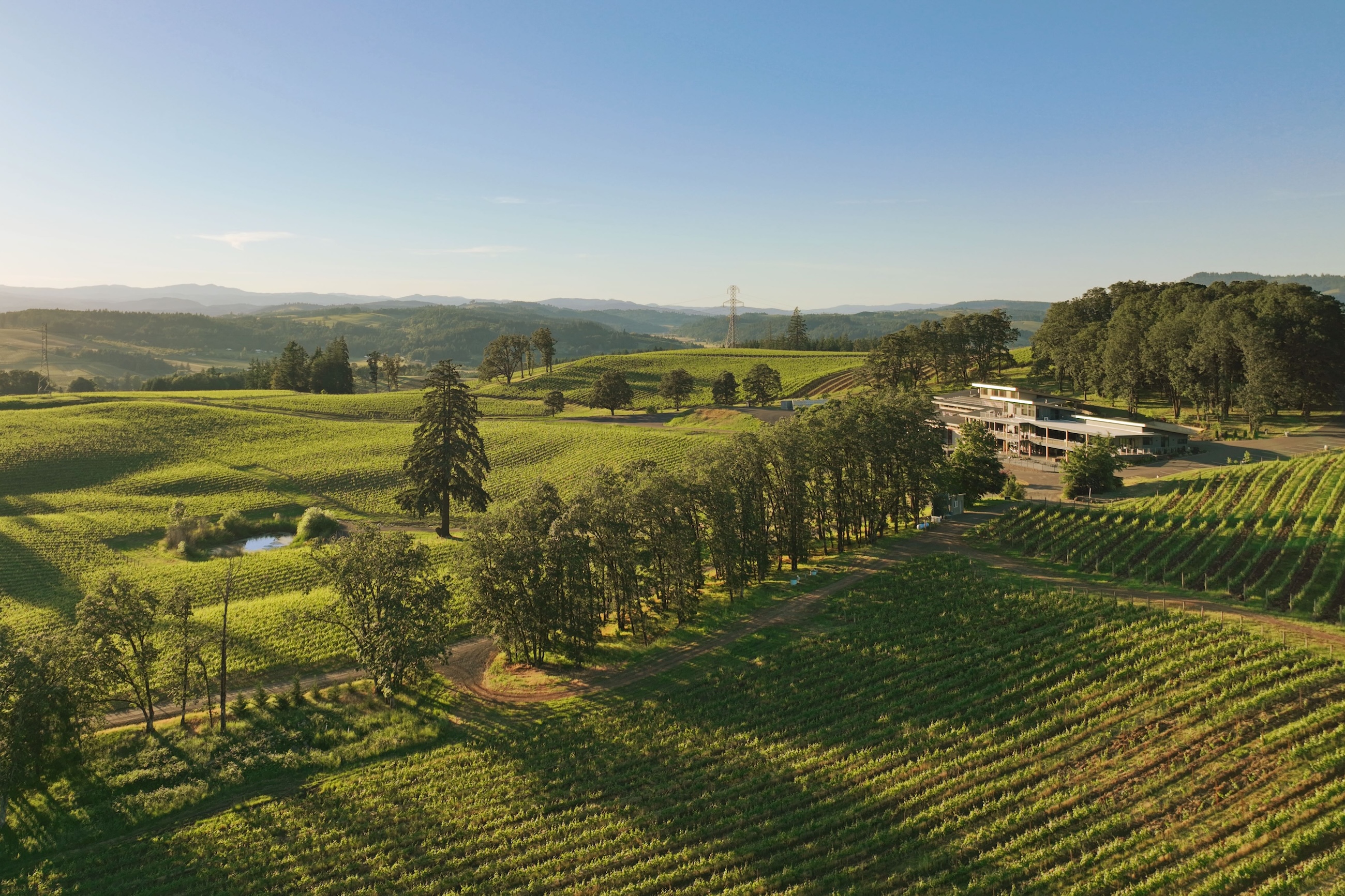 An aerial view of Alexana winery and vineyards in Dundee Hills, Oregon