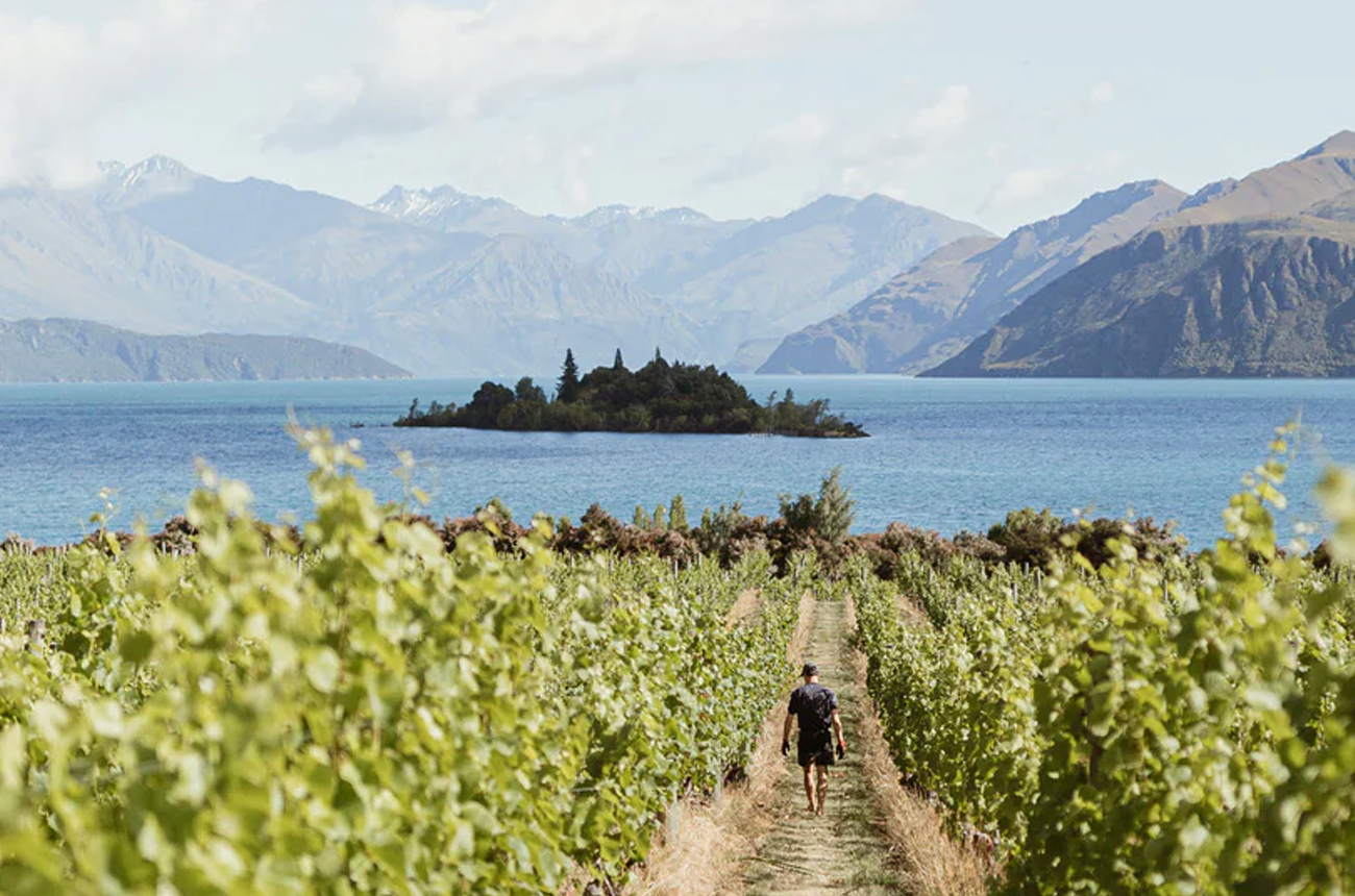 Rippon wine estate in Wanaka, Central Otago