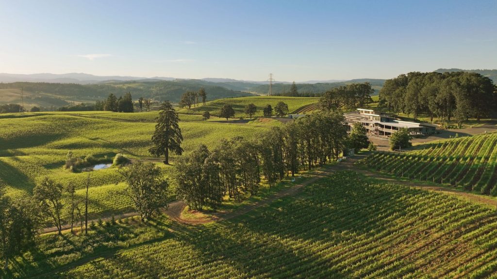 Oregon and Washington wines reach new peaks at 2026 DWWA