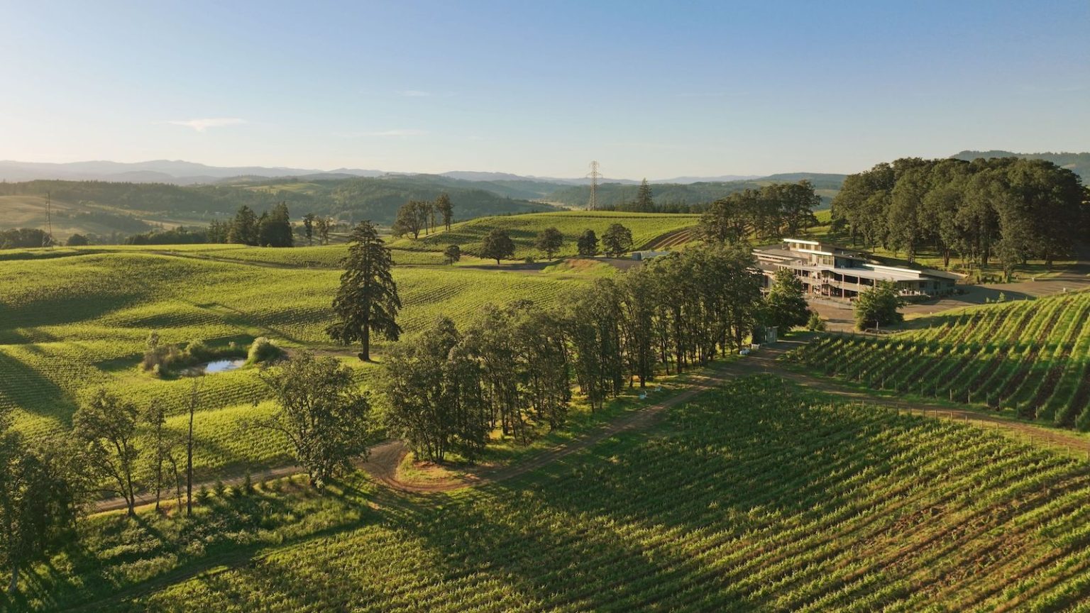 Oregon and Washington wines reach new peaks at 2026 DWWA