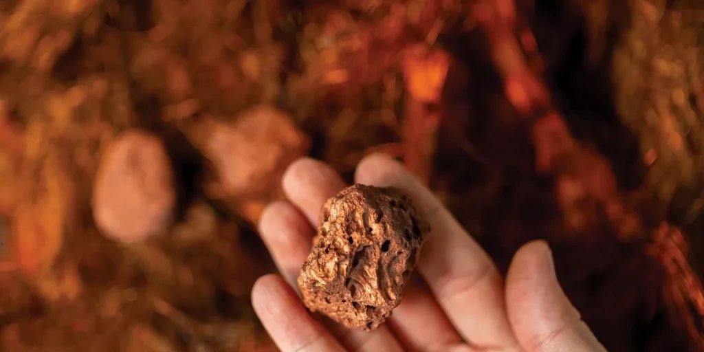 Antofagasta Cuts Guidance Amid Global Copper Squeeze