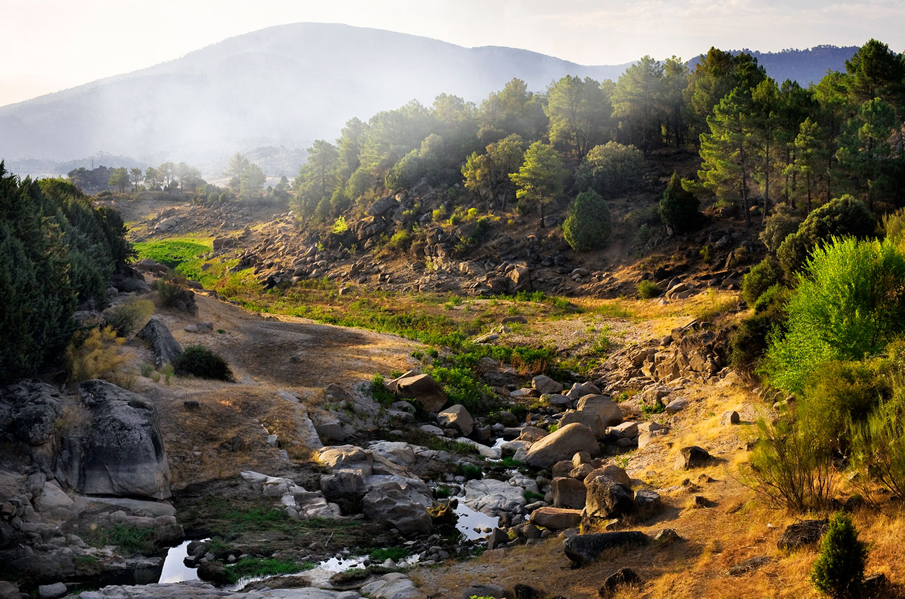 sierra de gredos, Arroyo Arrejondo