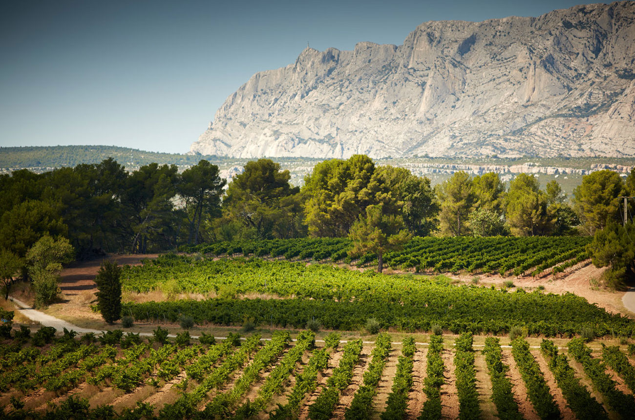 image-moyen-vins-sainte-victoire063.jpg