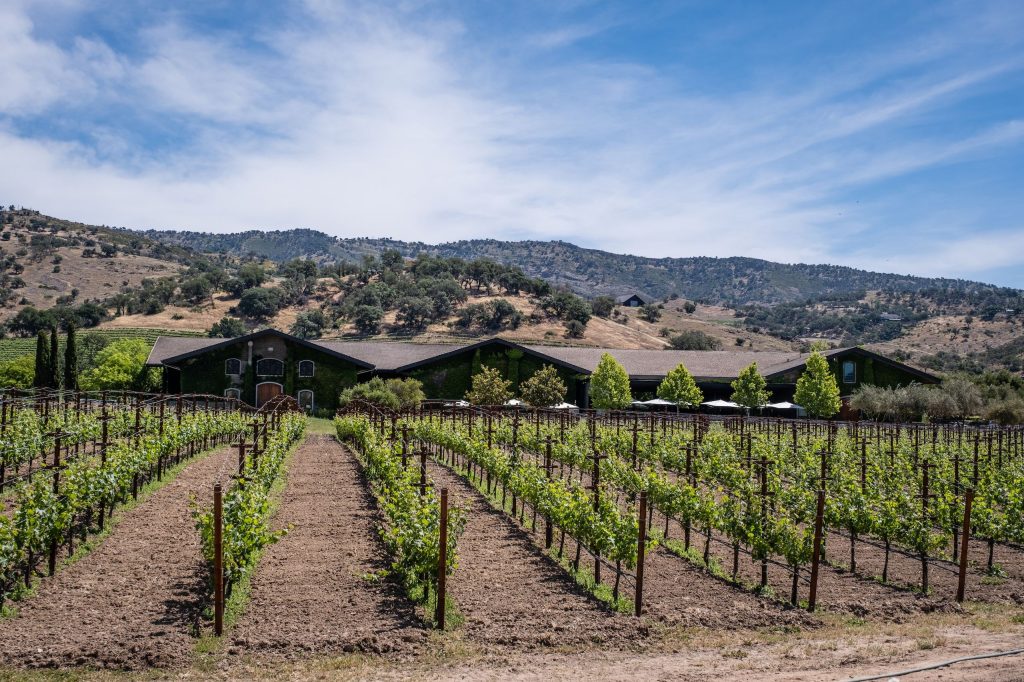 California’s not dreaming: the state’s wines stand with the best at DWWA 2026