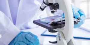 Oncology Stocks: 8 Biggest NASDAQ Companies in 2026