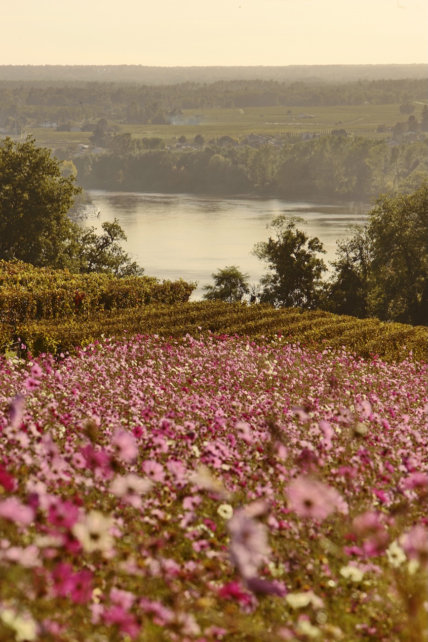 view of the river and flowers at Château Biac